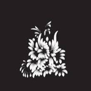 Meet your Posher, Miranda